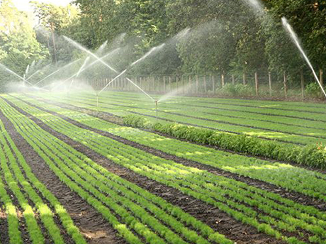 灌溉.jpg